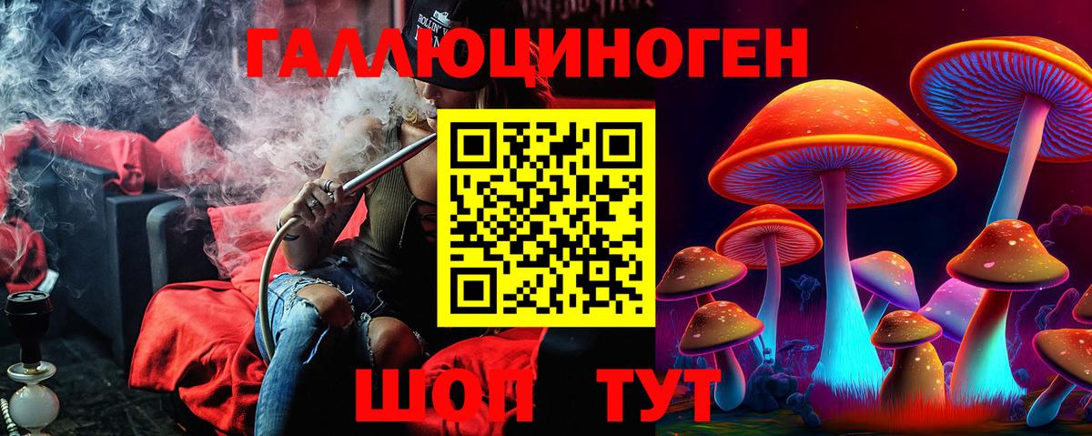Галлюциногенные грибы MAGIC MUSHROOMS  Вход с VPN  Ейск 